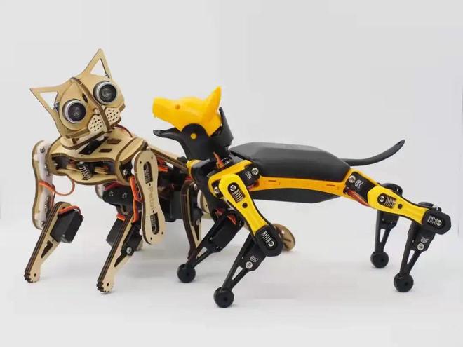 航仔专访丨李荣仲:研发一款属于自己的机器人宠物玩具
